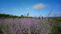 Villandry