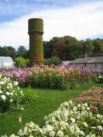 der Dahliengarten