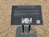 der Künstler