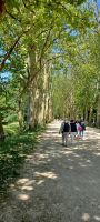 schöne Allee zum Schloss
