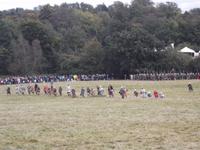 jetzt formieren sich die Bogenschützen der Normannen