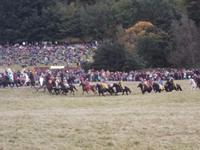 Attacke der normannischen Reiterei