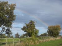 Glück gehabt mit dem Wetter!