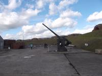 Artilleriefort Nelson, Waffensammlung