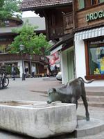 09 Brunnen in Gstaad