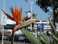 54 die Festivalhalle in Cannes