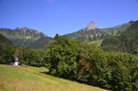 107 Fahrt mit dem Golden Pass Panoramic Express