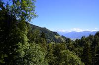 108 Fahrt mit dem Golden Pass Panoramic Express