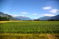 119 Fahrt nach Martigny