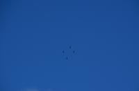 182 Brevent, Flugzeugstaffel