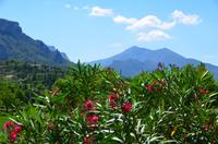 258 Moustiers Sainte Marie