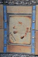 329 Cannes, Boulevard du Stars