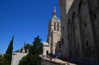 369 Avignon