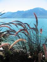Blick auf den Genfer See von Montreux aus