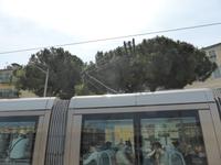 Nizza - Straßenbahn - Ausfahren der Oberleitung