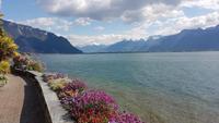 Genfer See in Montreux