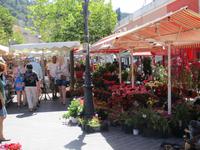 Auf Nizzas Bumenmarkt