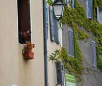 unerwartete Begegnung