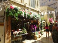 Avignon, Altstadt