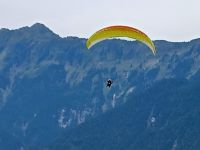 Paragleiten Interlaken
