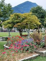 Interlaken Höhenmatte