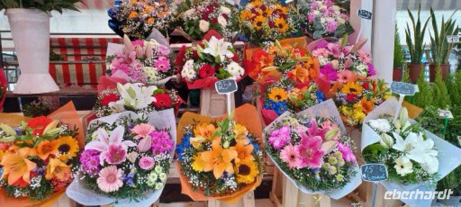 Nizza -Blumenmarkt