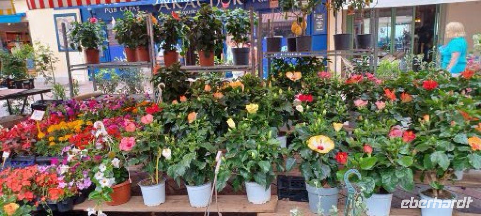 Nizza -Blumenmarkt