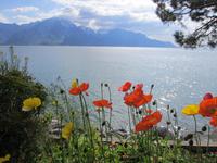 Genfer See Montreux