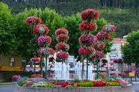 243 Sisteron
