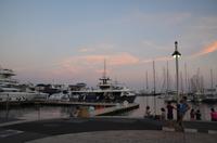 282 Cannes