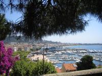 Blick zum Yachthafen, Cannes