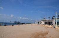 331 Cannes