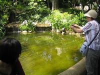 Stadtführung in Monaco