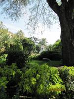 Place Massena, Nizza