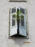 huch, da will was ans Licht! in Cannes