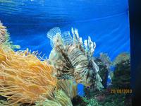 ...und ständig in Bewegung...