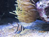 ... oder auch ganz Kleine...