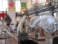 Ozeanographisches Museum Monaco