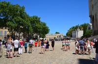 359 Avignon