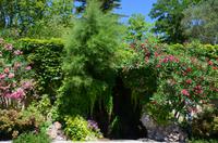 364 Avignon