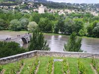 ... d'Avignon