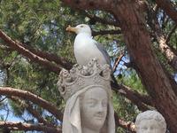 Auf dem Altstadthügel von Cannes