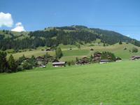 Im Schweizer Simmental