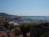 Hafen und Filmpalast in Cannes