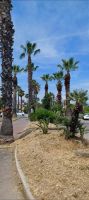 Antibes  - Promenade