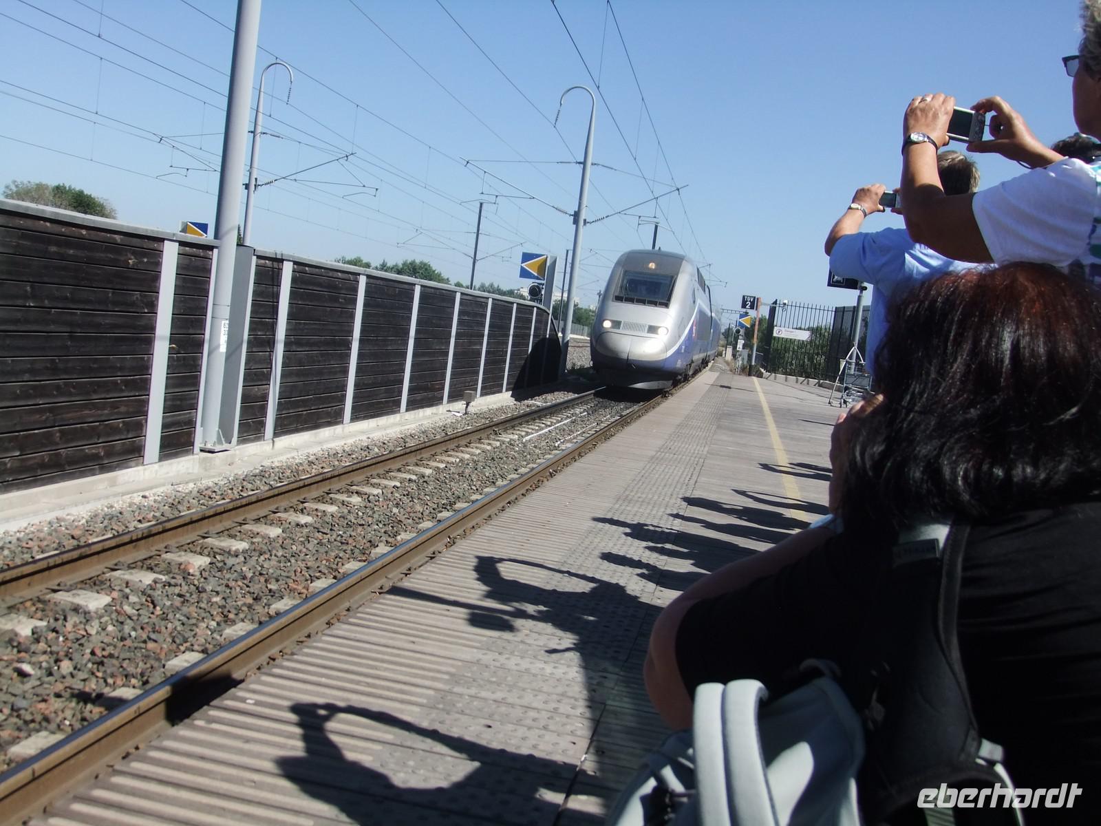 Avignon. TGV