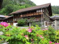 Berner Stubenhaus