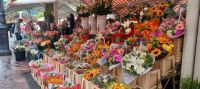 Nizza - Blumenmarkt