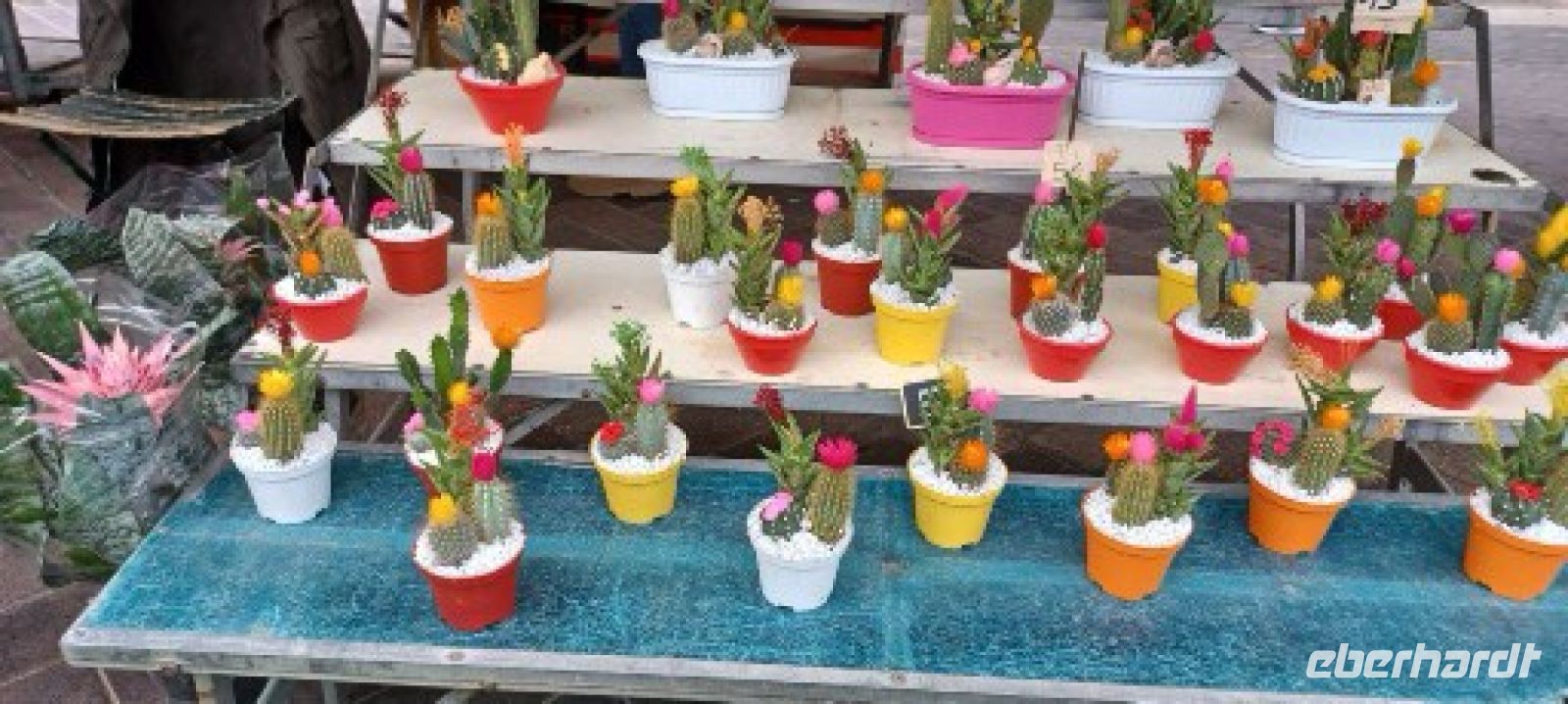 Nizza -Blumenmarkt