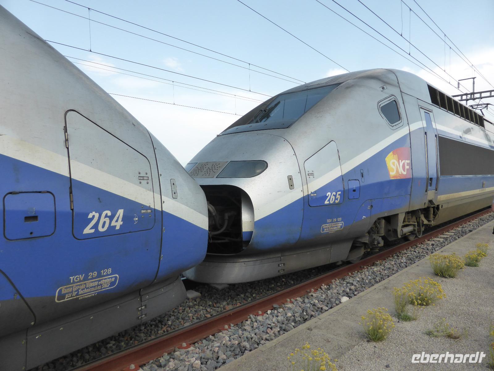 TGV - Erlebnis pus 